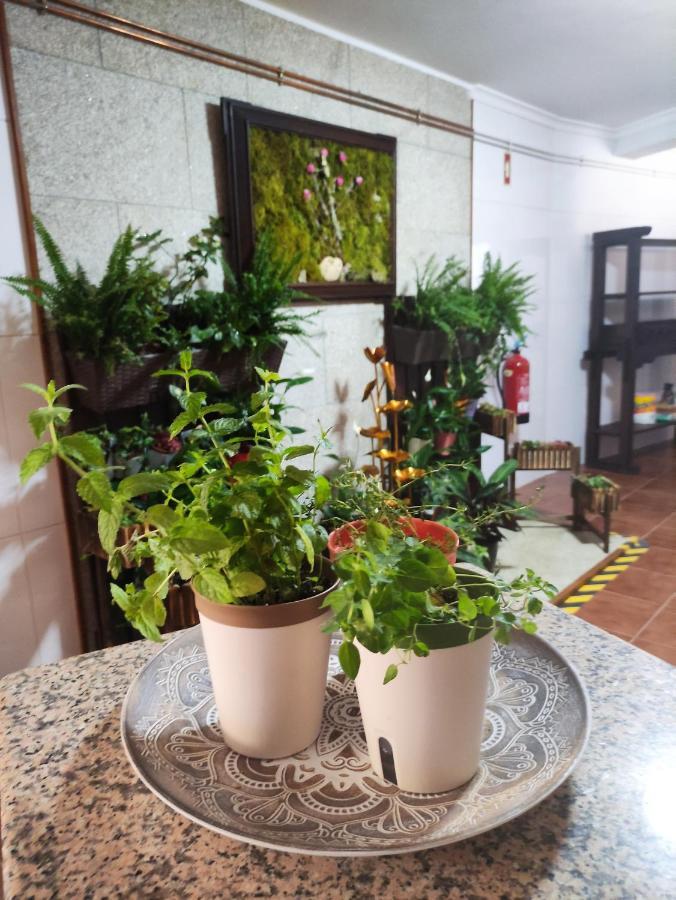 Отель Zimao Garden House Вила-Пока-ди-Агиар Экстерьер фото